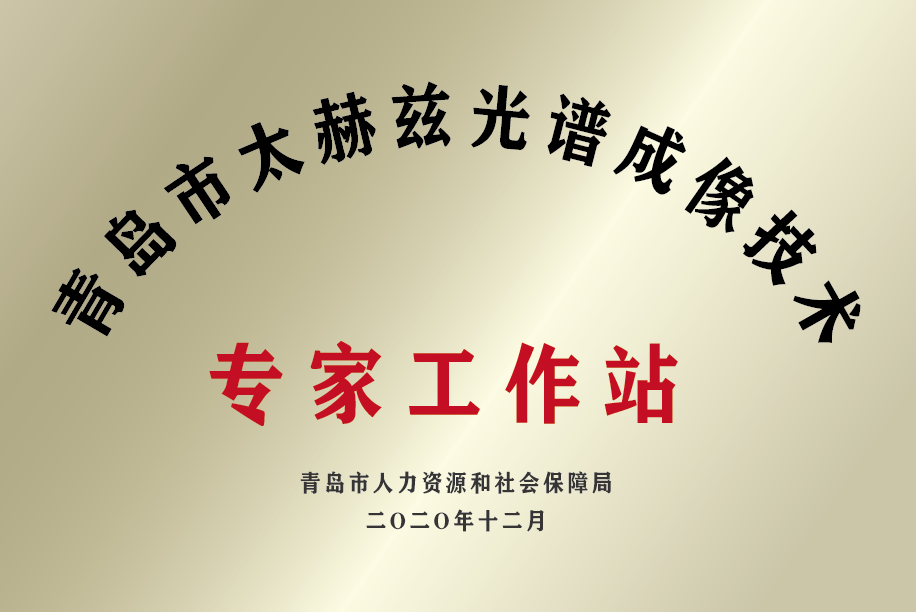 青島市專家工作站