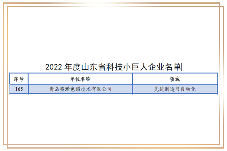 山東省科技小巨人企業(yè)