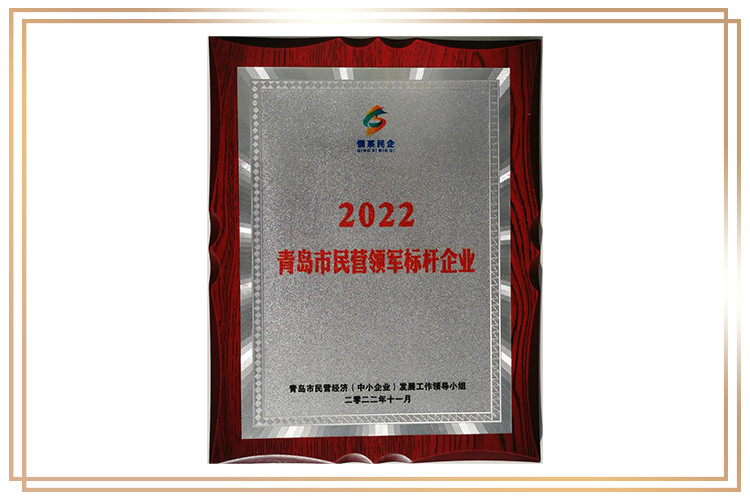青島市民營標(biāo)桿企業(yè)
