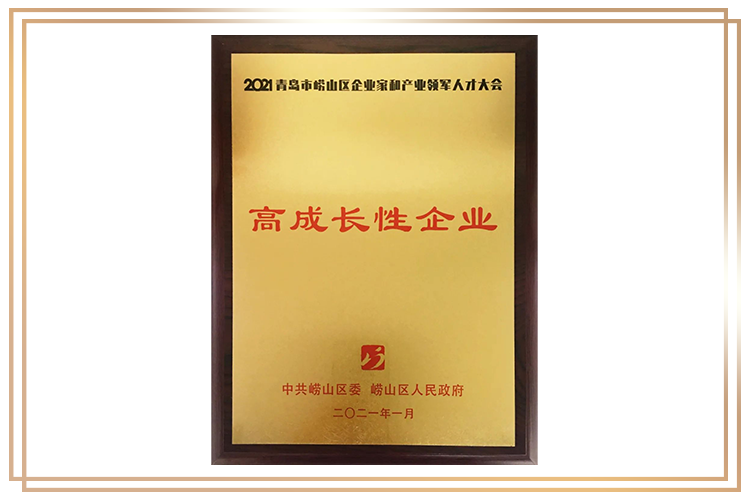 盛瀚榮獲企業(yè)家和產(chǎn)業(yè)領(lǐng)軍人才大會“高成長性企業(yè)”