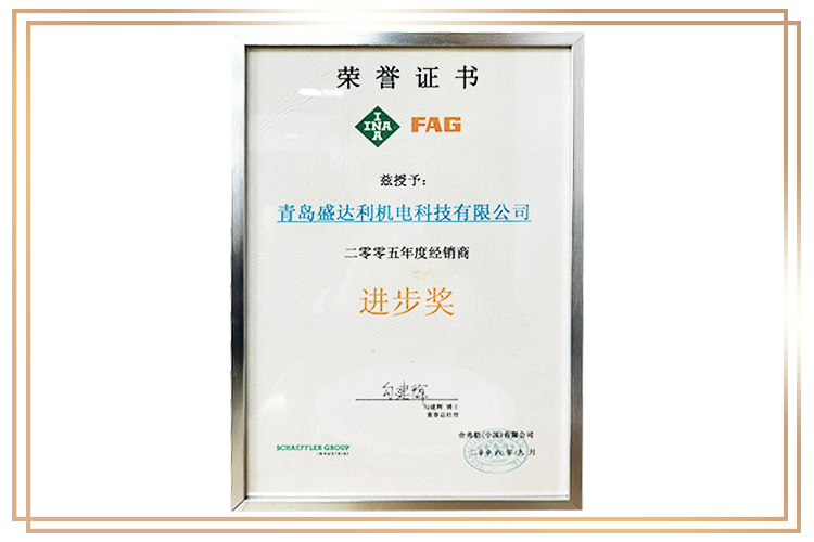 舍弗勒年度經(jīng)銷商