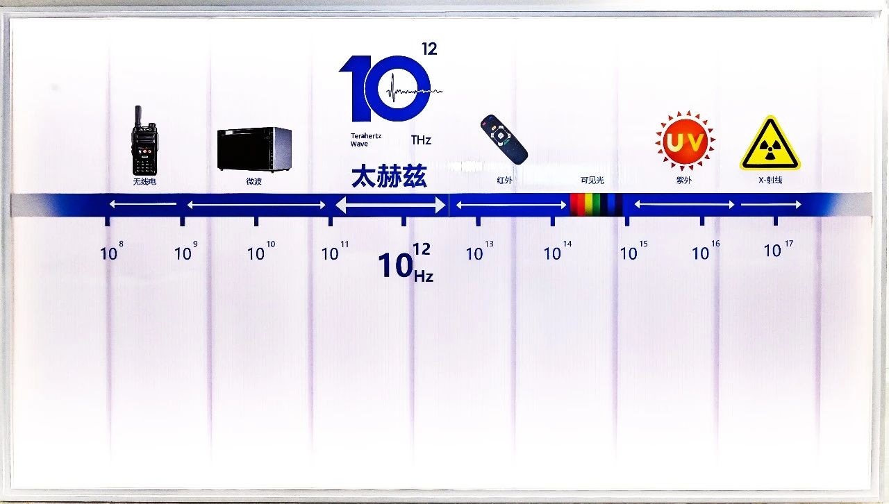 微信圖片_20250814151931.jpg